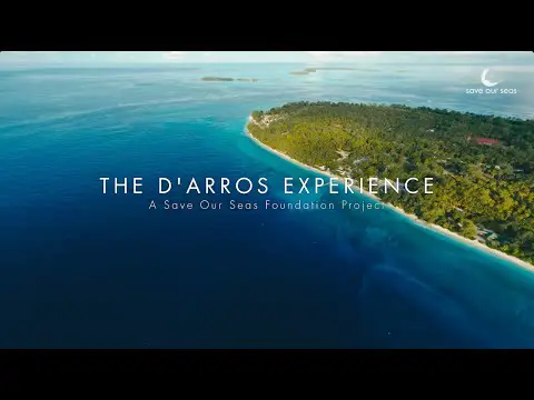 The D&#039;Arros Experience 2023
