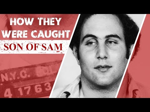How They Were Caught: Son of Sam