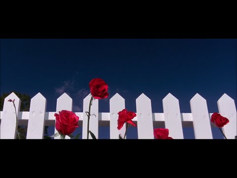 Blue Velvet - Opening Sequence