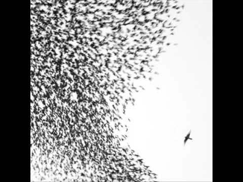 wilco - either way