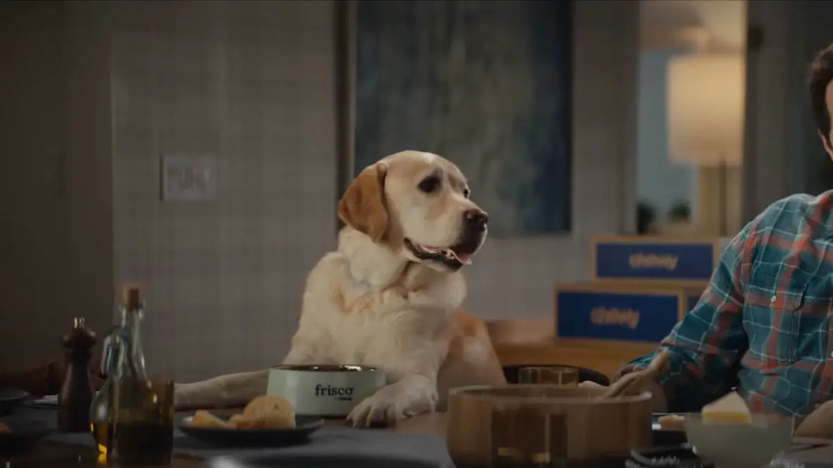 "VASE" Bailey is the talking dog in the Chewy commercial Auralcrave